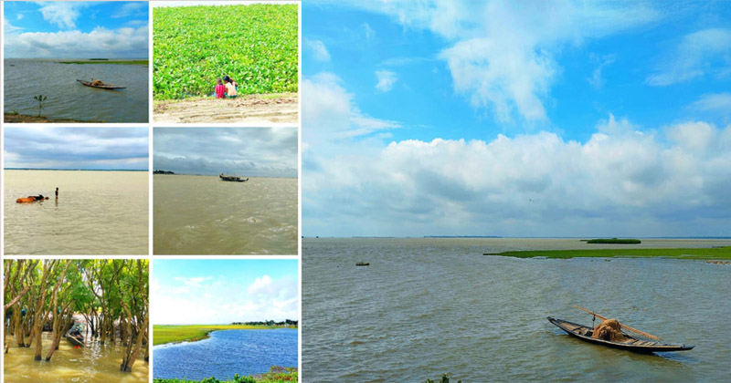 নাদিয়া আফরোজ 