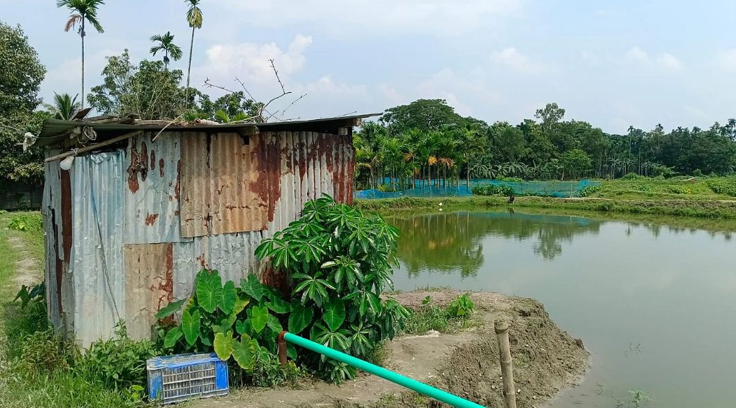 হিজবুলের সেই টর্চার সেল
